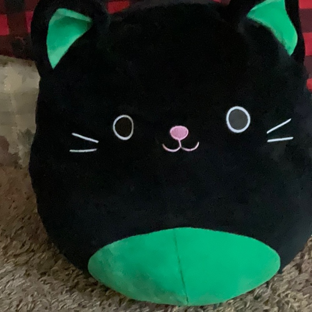 Cat squish mellow